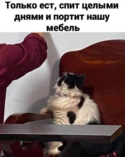 (3)