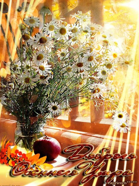 C4ff2b18f068b7c444ab1b1743f56a5c