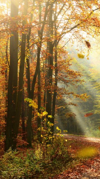 magazine-unlock-01-2.3.9622- 860BA774FEDD9BE4FB83E7682F354C53