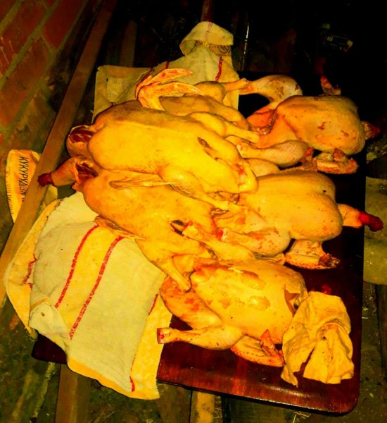 IMG 20260313 161419 262