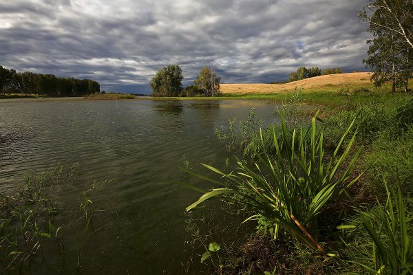 У реки