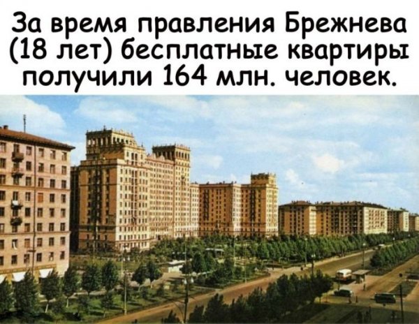 Luchshie-prikoly-novye-smeshnye-kartinki-s-nadpisjami-20