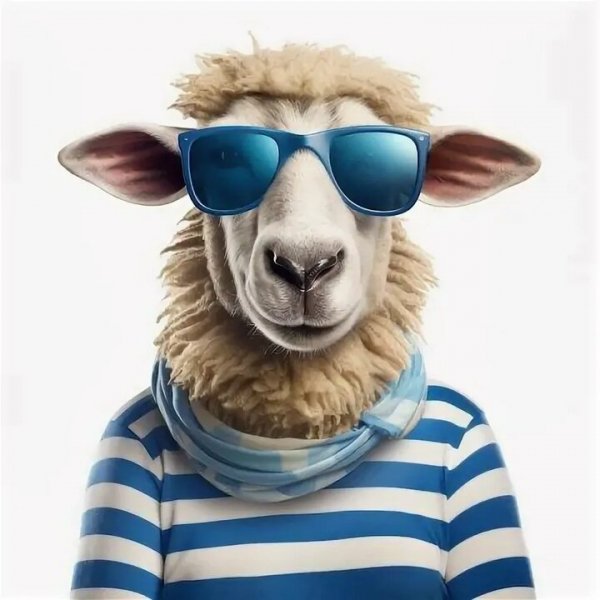 Image by Barashek Sven (21)