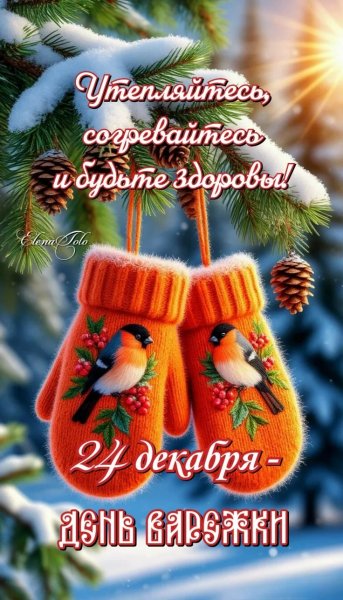 IMG 20251224 184903 105