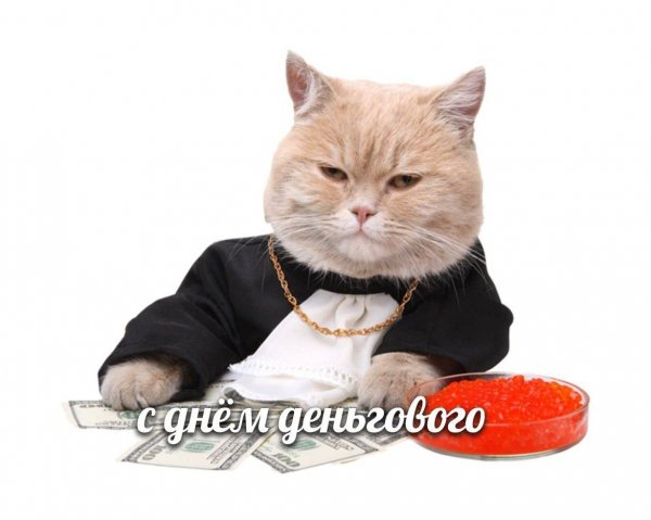 IMG 20260417 153037 158