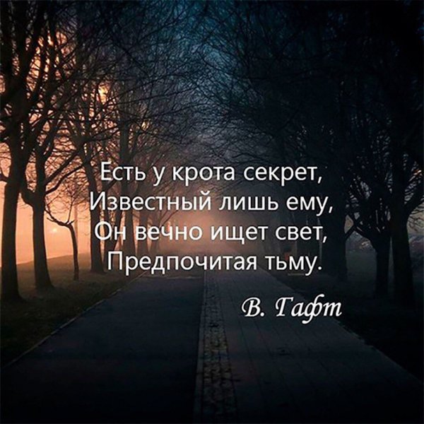 В.Гафт