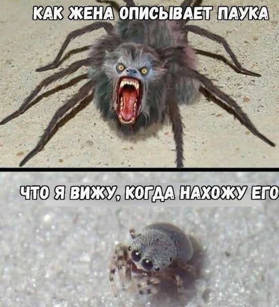 IMG 20260228 221004 242