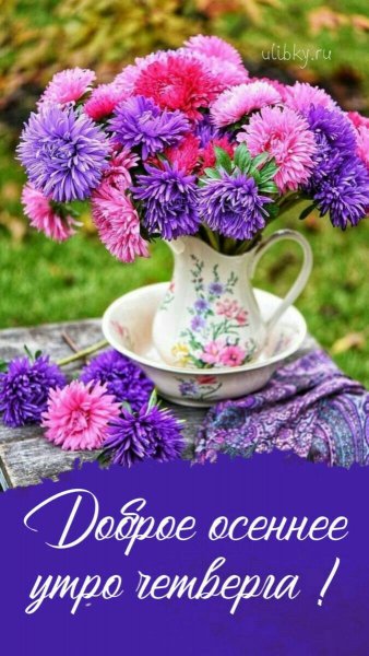 Efcef35771649248e7876007219c7267