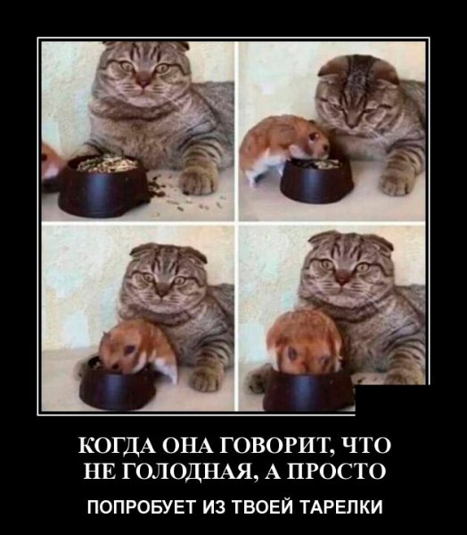 КОГДА ОНА ГОВОРИТ, ЧТО НЕ ГОЛОДНАЯ