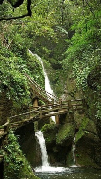 Арт Природа