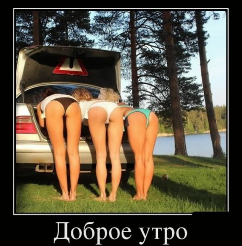 Доброе утро