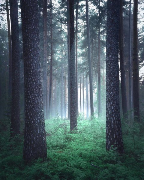 95FD957F-7DF8-4164-B3F2-23E94FC9366E