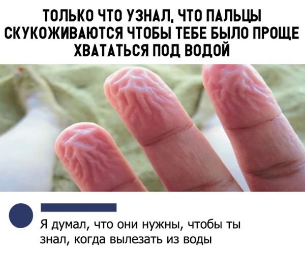 smeshnye-kommentarii-iz-socialnyh-setej-21