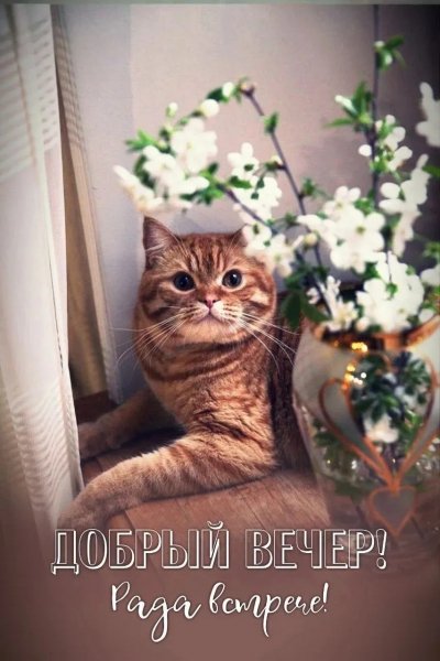 IMG 20260409 194718 536