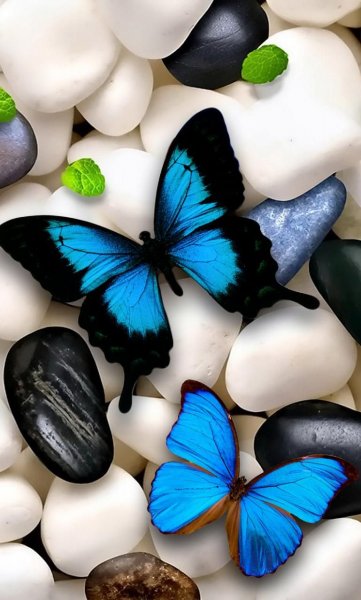 Download Butterflies Wallpaper by LumiaUser - 89 - Free on ZE