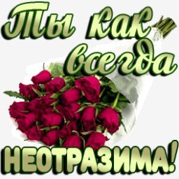 розы