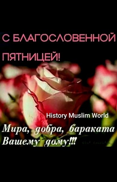 IMG 20210611 124357