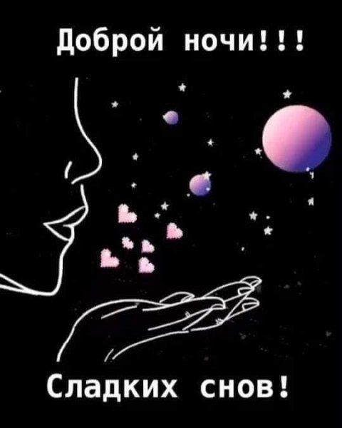 f406c256d240783a1dab4548