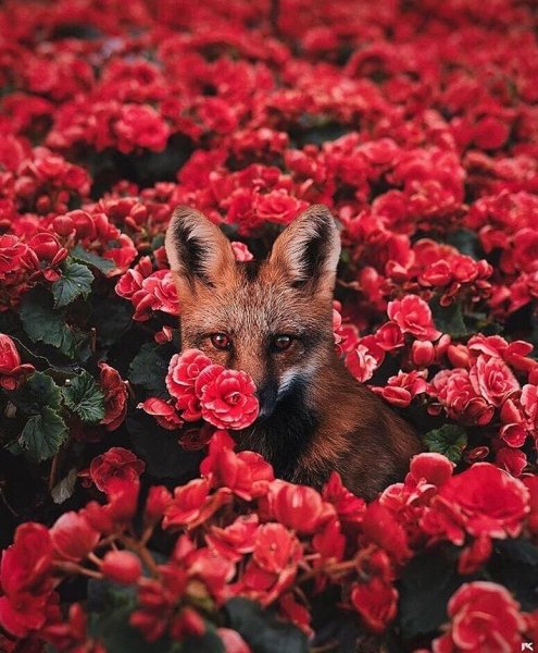 image (3) - 2020-09-02T191112.124