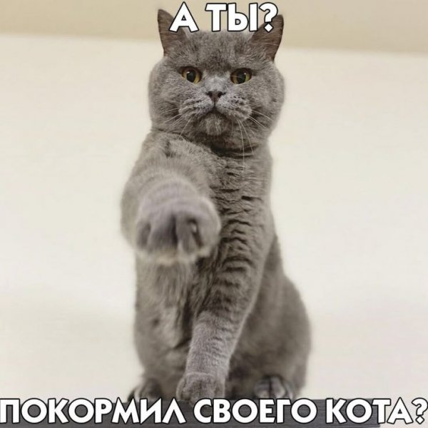 E126148f-2712-42cd-aafa-a4b4f9c3e47d