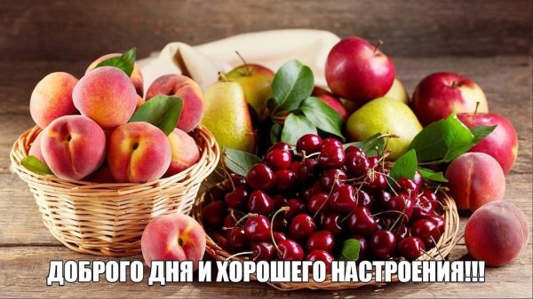 FTo6E87o5De6SZIUVLaFJvJl6IrJMm1Pr81hg264sB8Lg SXnLH8oBVIaw-l