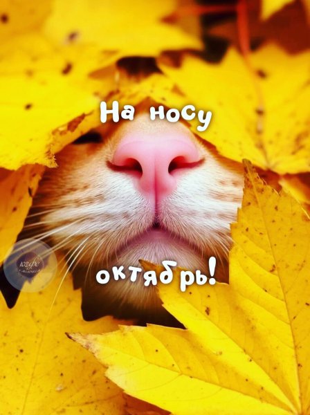 Всё идёт своим чередом!