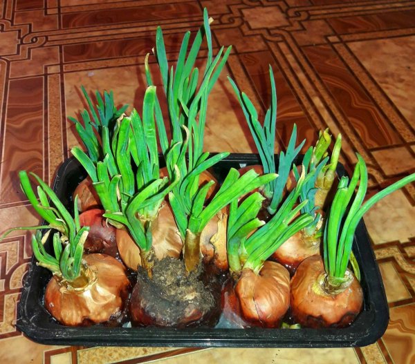 IMG-a1c28d879c40879468cd1943a68d1bcd-V