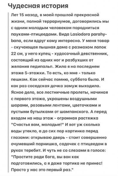 Novye-kommentarii-i-memy-kotorye-vzorvut-vash-mozg-12