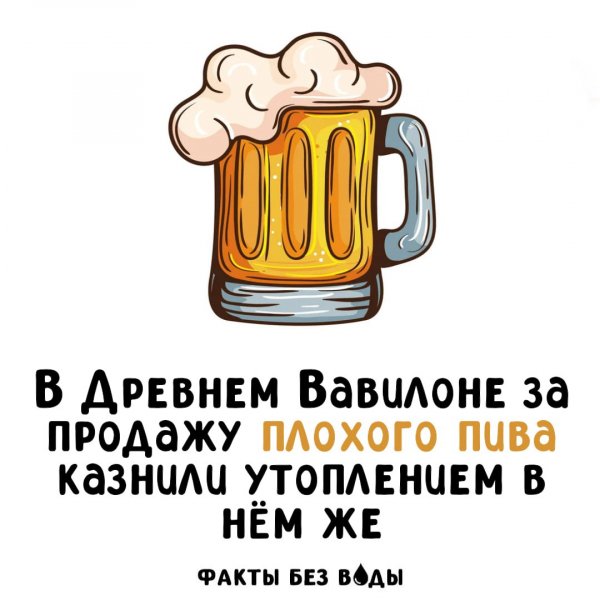 IMG 20251109 101203 309