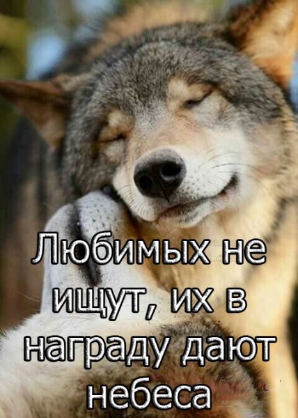 image (3) - 2020-10-04T203501.478