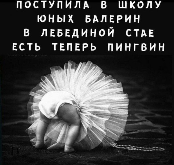 IMG 20250321 090809 683