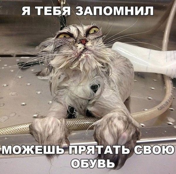 VK Saved Photo 636103452677212694