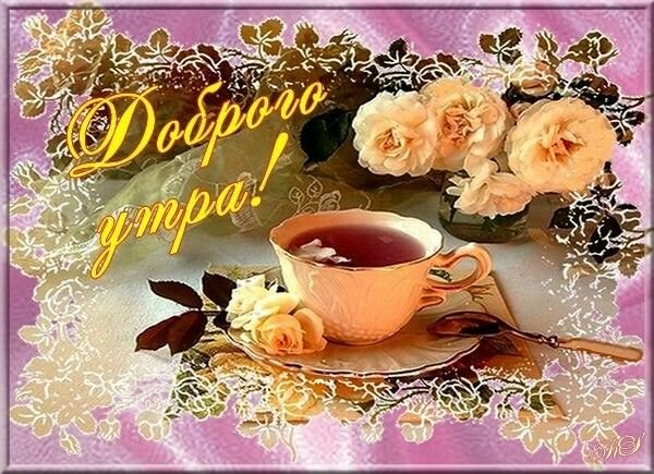 Ccd9ea39b8b0af1b788ff44e29e96c11