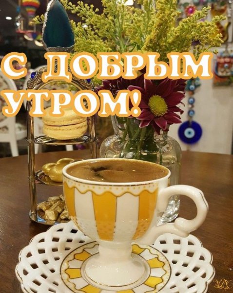 Друзья мои!