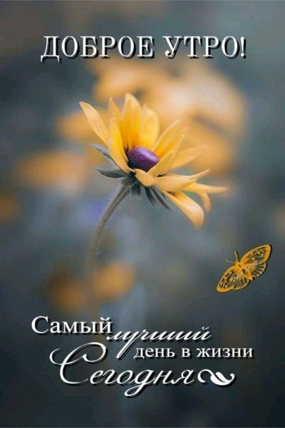 FB IMG 16227013089692010