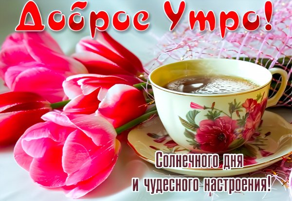 Доброе утро!