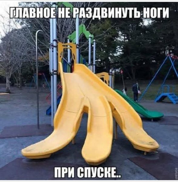 picture_412072382