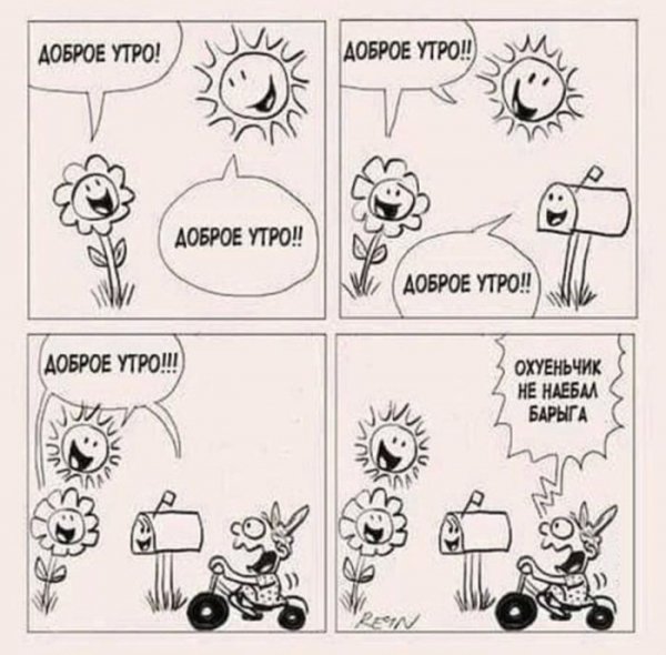 ogromnaja-porcija-samyh-umoritelnyh-kartinok-i-memov-0