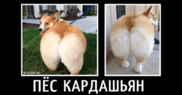 pics