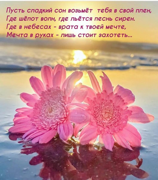 marinaalekminskaya 20200925 11