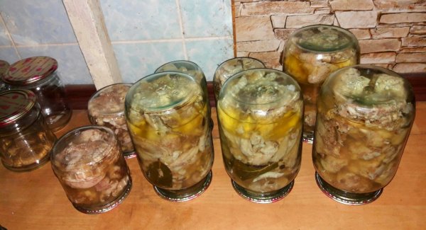 DOMAWNJAJA KUROChKA-vps404.strip2.co