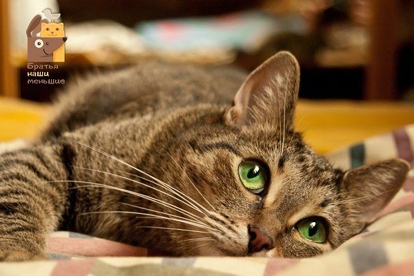 I - 2026-04-04T235524.638