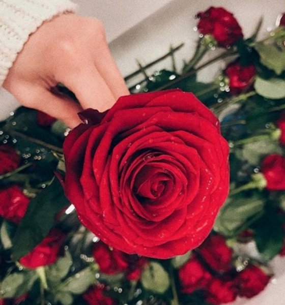 Доброе Утро Друзья!