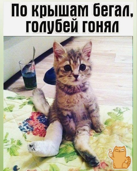 picture_412327263