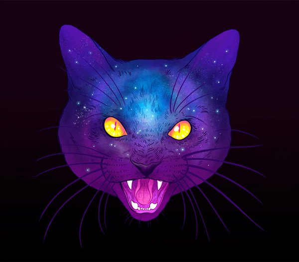 Космический-кот-7