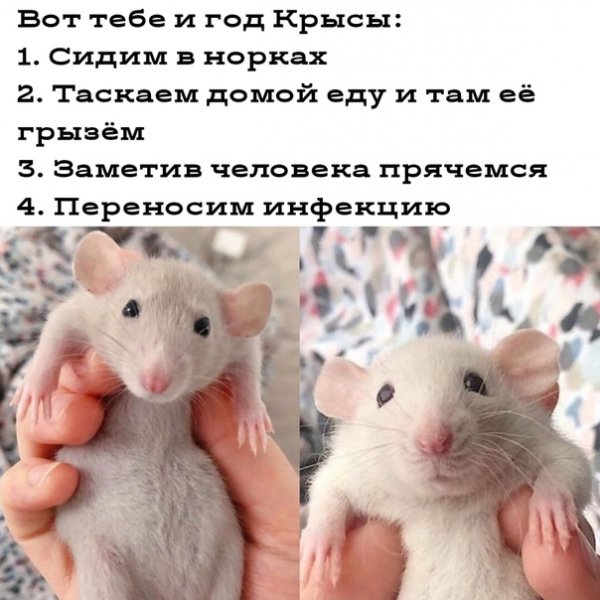 qZYsmWjMDtQ