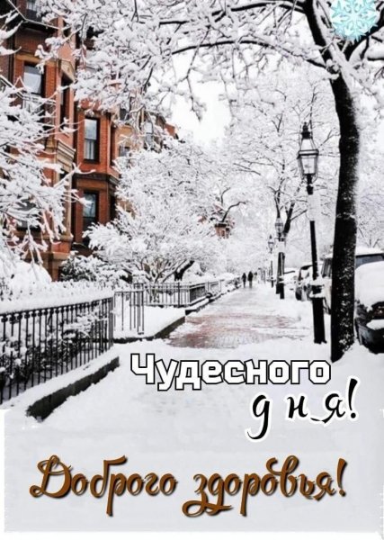 Друзья мои!