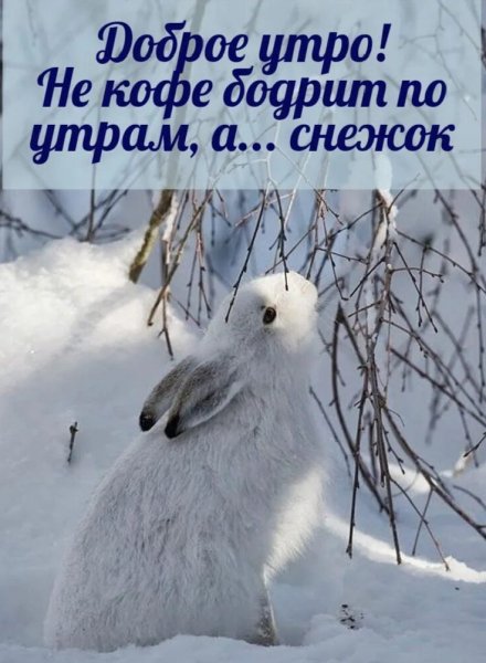 Доброе утро!