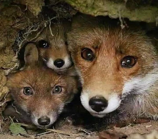 11-28-57-203301284 339437267623085 308710584221369344 n