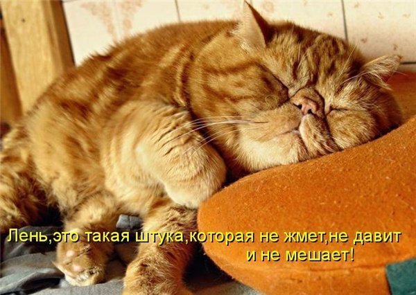 Images 86